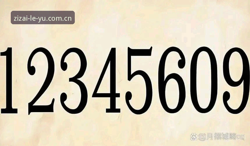 数字里的门道：LEYU乐鱼赛事数据对比最新动态，38.5MB小入口藏着大世界